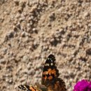 김해가야테마파크 어드벤처내화장실 | [경남/김해] 김해가야테마파크 방문후기(어드벤처, 도자체험)