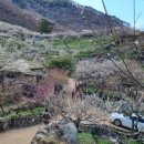 배산농원 이미지