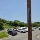 공룡알 | 전남 보성 비봉공룡공원 마술쇼 풍선쇼, 공룡자동차, 공룡알 체험 내돈내산 솔직후기