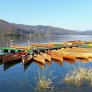 고탄산들미 이미지