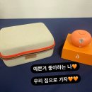 2024 도테라 코리아 컨벤션 쉐어 : 도테라 세레니티 포레스트배싱 신제품