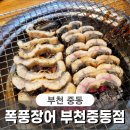 폭풍장어중동 이미지