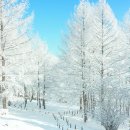 태경약품 이미지