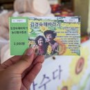 해바라기농장 이미지