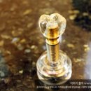 임플라인치과의원 이미지