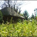 하이디 하우스 이미지