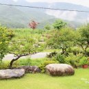 강가민박 이미지