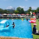 도그베이 이미지