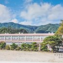 웅양초등학교 이미지