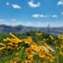 구파발역2번출구 이미지