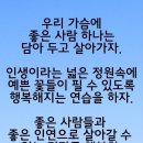 한동훈 어록 3 이미지