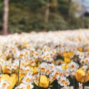 모아내과의원 이미지