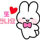 마제리에웨딩