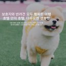 THE WEEK& 더위크앤리조트 | 영종도 을왕리 1박 코스 더 위크앤 리조트 - 가성비 넘치는 호텔과 반려동물 까지