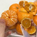 루카스 | 과일선물 세트 명절선물 프리미엄 루카스과일 후기