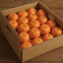 늘푸른농수산물 | [공지] [나의한해지도🍊]블로그 후기 이벤트 시작합니다∼🎁