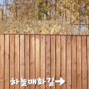 매화길 네이버블로그