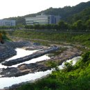 탄동천-1 이미지