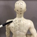 센텀수한의원 이미지