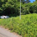 도리1길 이미지