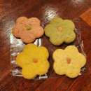 김태희의팜스쿠키 이미지