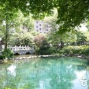 황지연못 이미지