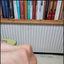 몸이편한 이미지