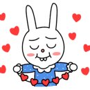 틈새포장횟집