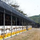 본량동서로 이미지