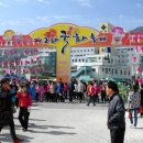 제 13회 가고파 국화 스케치 이미지