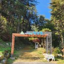 아침고요푸른마을 이미지