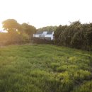 벵디1967 이미지