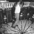 중앙실험동물(주) 이미지