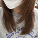 애견동반 레이어드커트 잘하는 수유미용실 에이바헤어 수유역점