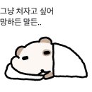 지니스안경 네이버블로그
