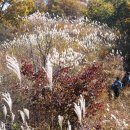 일렁이는 이미지