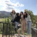 안동강노을 이미지