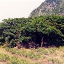 사계리-1 이미지