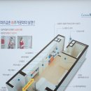 그린(224) 이미지