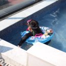 거제아일랜드 풀빌라펜션 이미지