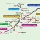 제123차 울진 금강송 숲길 이미지