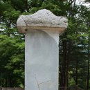 비로사진공대사보법탑비 이미지