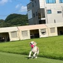 댕스파크 이미지