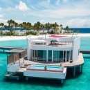 할리하우스 이미지