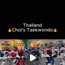 용인대 태비태권도장 이미지