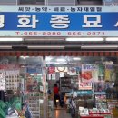 평화종묘사 이미지