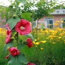 운수3리 마을회관 이미지