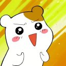 주식회사 더쿠