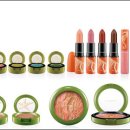 비치코스메틱 이미지