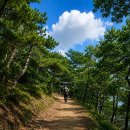 1894회 평낮월요걷기 8월31일 여름바다 배타고 30분가는 섬여행 장봉도/공룡해식동굴을 갑니다. 이미지